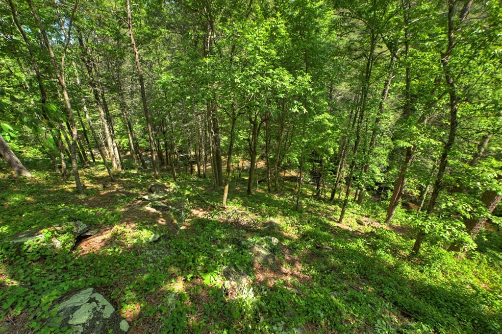 Lot 90R Mountain Creek Hollow Drive, Talking Rock GA 30175 - Photo