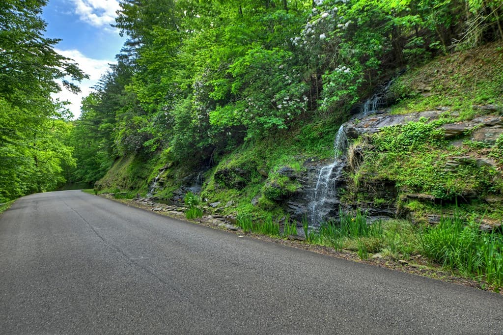 Lot 90R Mountain Creek Hollow Drive, Talking Rock GA 30175 - Photo