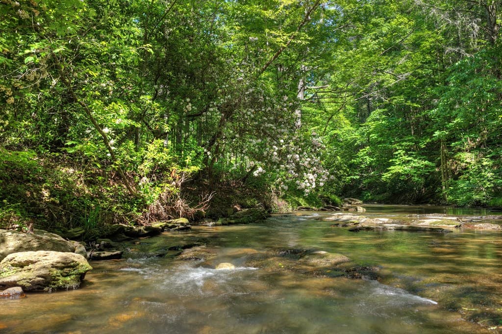 Lot 90R Mountain Creek Hollow Drive, Talking Rock GA 30175 - Photo