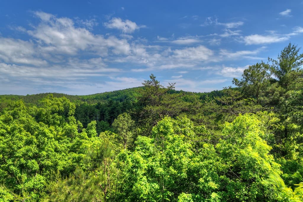 Lot 106 Mountain Creek Hollow Drive, Talking Rock GA 30175 - Photo