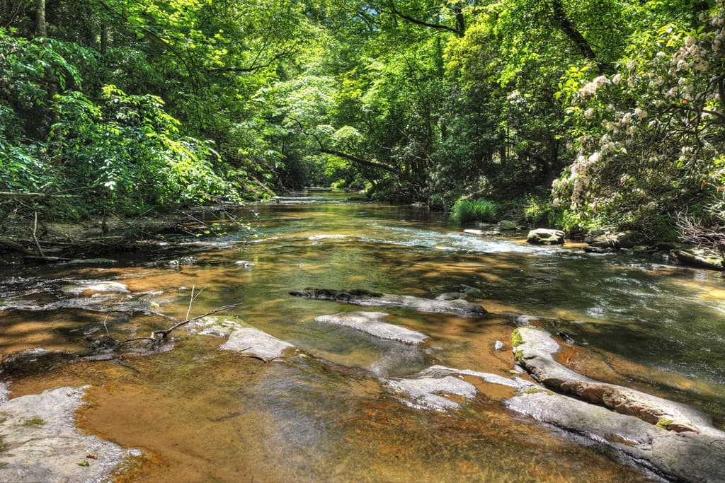 Lot 106 Mountain Creek Hollow Drive, Talking Rock GA 30175 - Photo