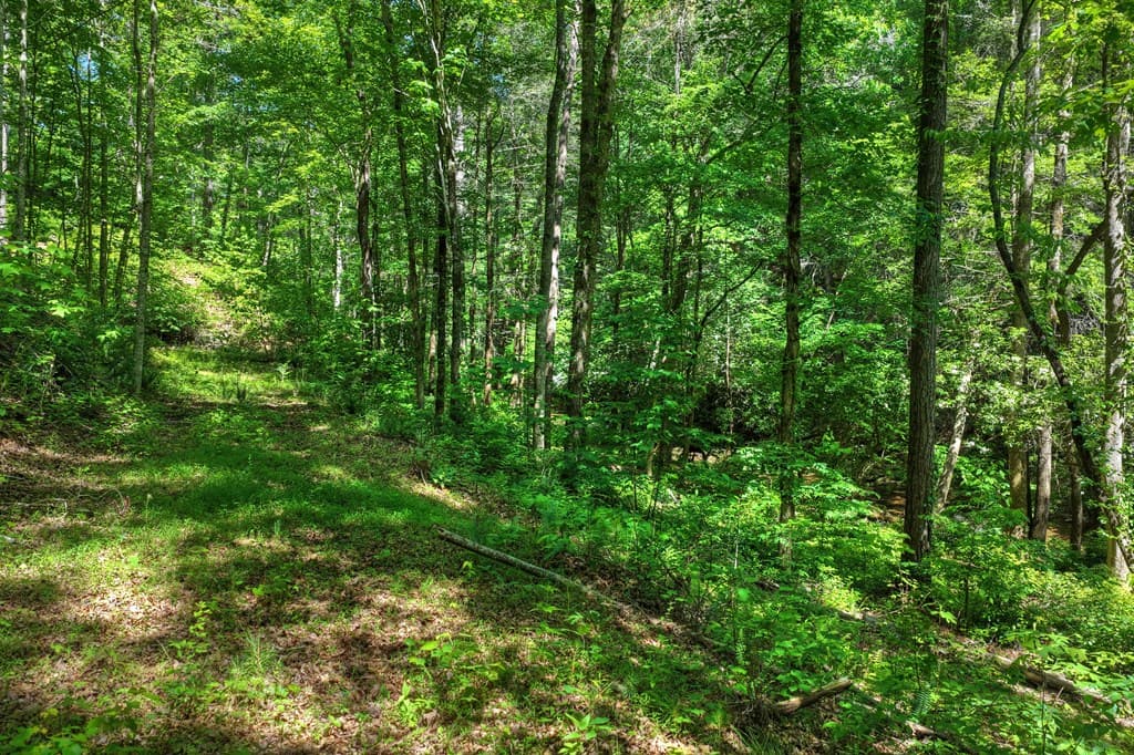 Lot 106 Mountain Creek Hollow Drive, Talking Rock GA 30175 - Photo