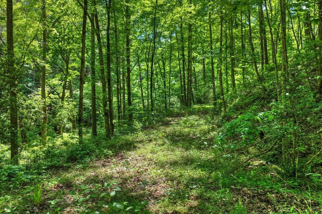 Lot 106 Mountain Creek Hollow Drive, Talking Rock GA 30175 - Primary photo