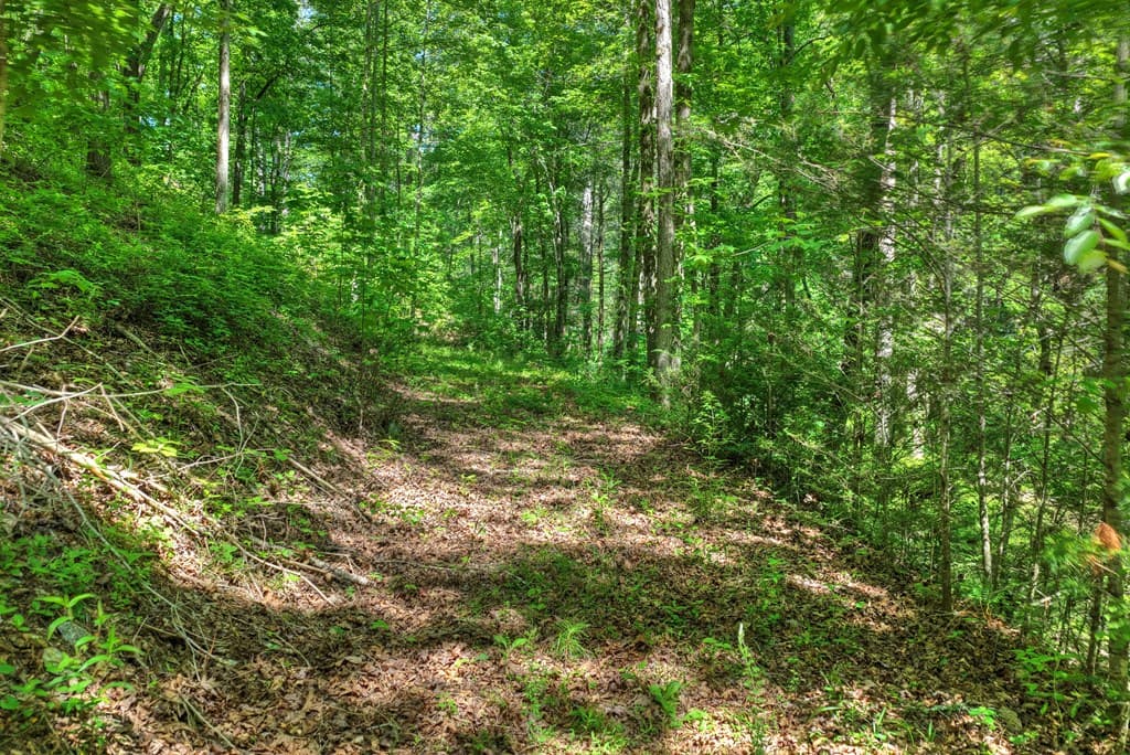 Lot 106 Mountain Creek Hollow Drive, Talking Rock GA 30175 - Photo