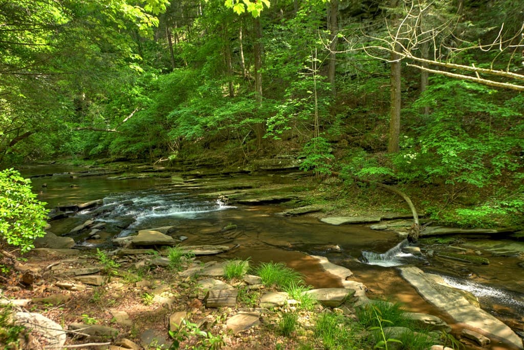 Lot 106 Mountain Creek Hollow Drive, Talking Rock GA 30175 - Photo