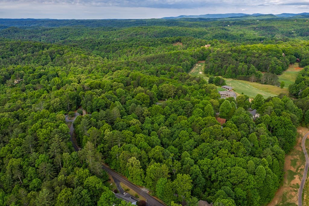 Lot 171 Shenendoa Drive, Ellijay GA 30540 - Photo