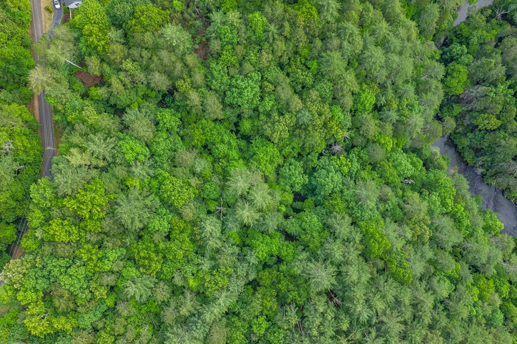 Lot 171 Shenendoa Drive, Ellijay GA 30540 - Photo