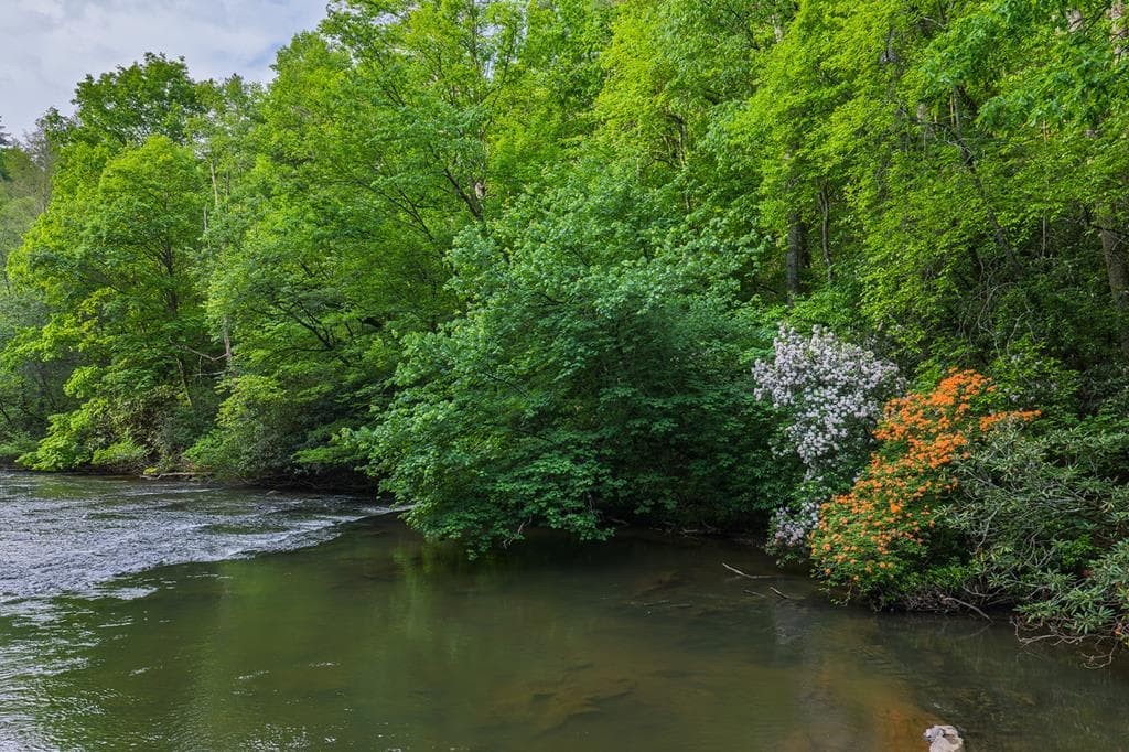 Lot 171 Shenendoa Drive, Ellijay GA 30540 - Primary photo