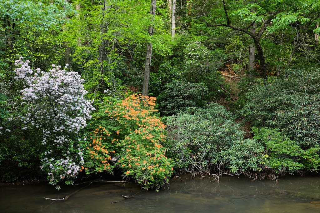 Lot 171 Shenendoa Drive, Ellijay GA 30540 - Photo