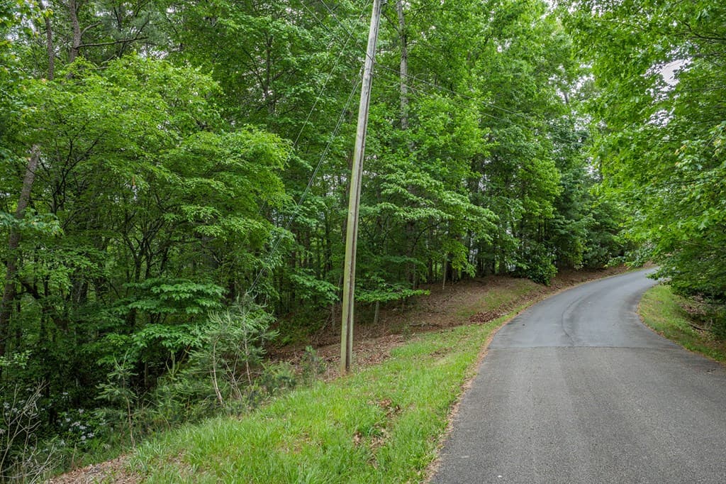 Lot 171 Shenendoa Drive, Ellijay GA 30540 - Photo