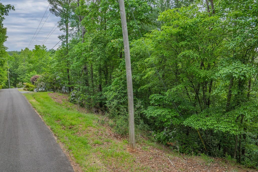 Lot 171 Shenendoa Drive, Ellijay GA 30540 - Photo