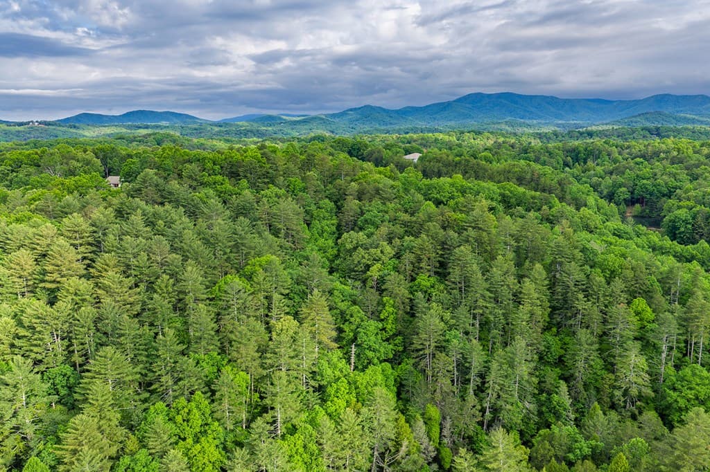 Lot 171 Shenendoa Drive, Ellijay GA 30540 - Photo