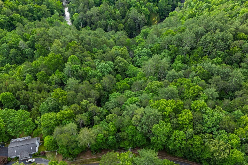 Lot 171 Shenendoa Drive, Ellijay GA 30540 - Photo