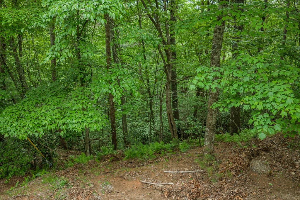 Lot 171 Shenendoa Drive, Ellijay GA 30540 - Photo