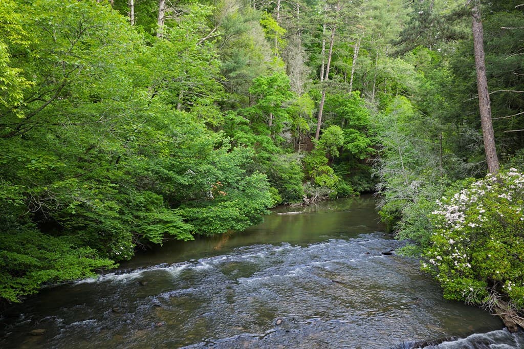Lot 171 Shenendoa Drive, Ellijay GA 30540 - Photo