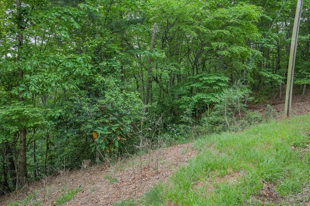 Lot 171 Shenendoa Drive, Ellijay GA 30540 - Photo