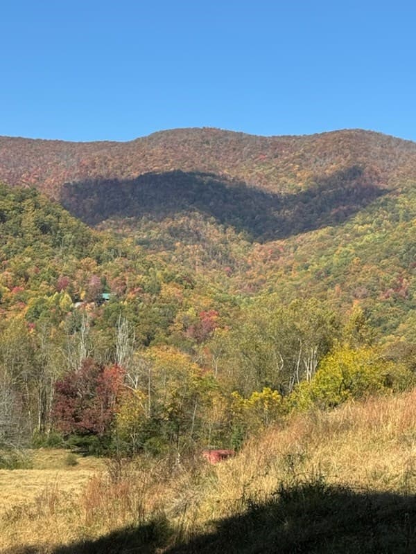 10617 Hwy 64 E, Hayesville NC 28904 - Photo