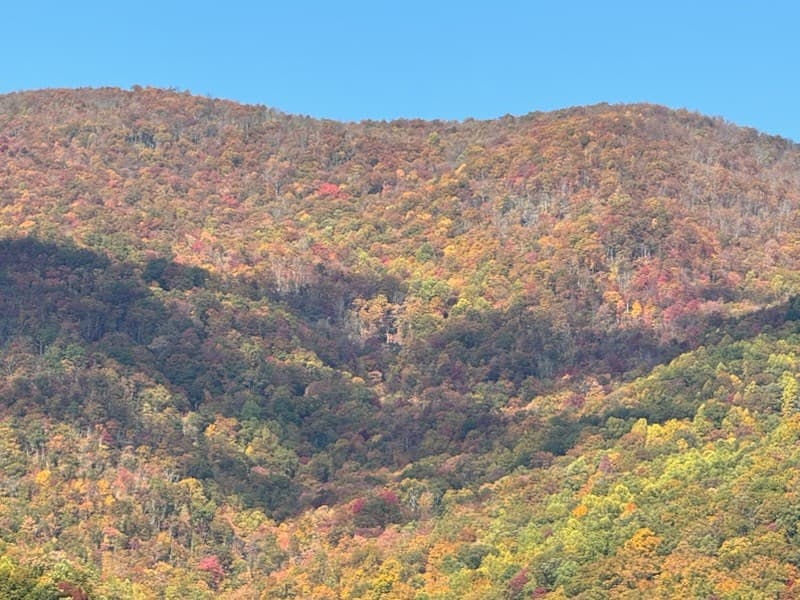 10617 Hwy 64 E, Hayesville NC 28904 - Photo