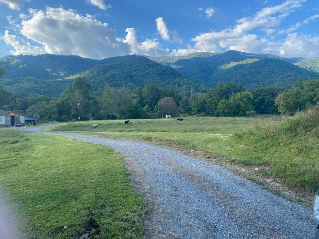 10617 Hwy 64 E, Hayesville NC 28904 - Primary photo