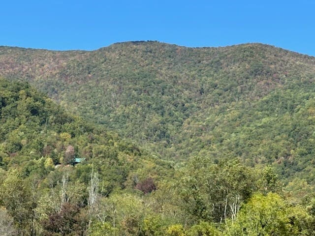 10617 Hwy 64 E, Hayesville NC 28904 - Photo