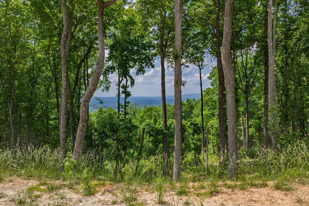 Lot 411 Calloway Mountain Road, Talking Rock GA 30175 - Photo