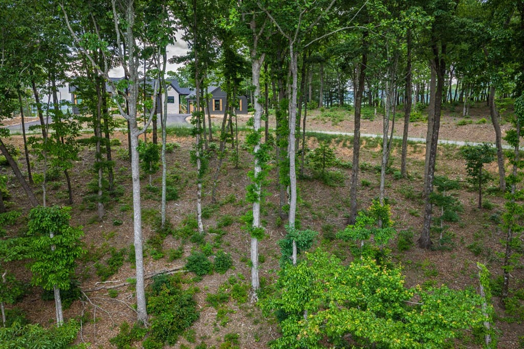 Lot 411 Calloway Mountain Road, Talking Rock GA 30175 - Photo