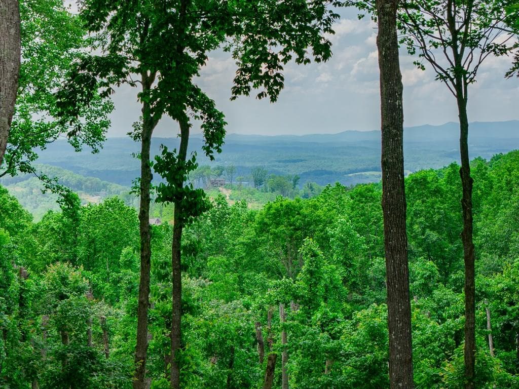 Lot 411 Calloway Mountain Road, Talking Rock GA 30175 - Primary photo