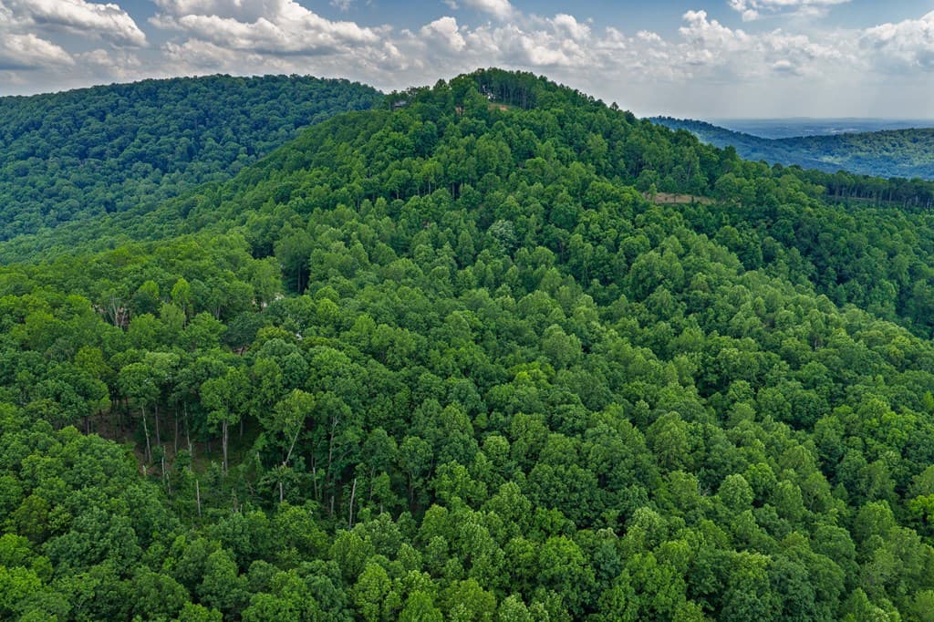 Lot 411 Calloway Mountain Road, Talking Rock GA 30175 - Photo