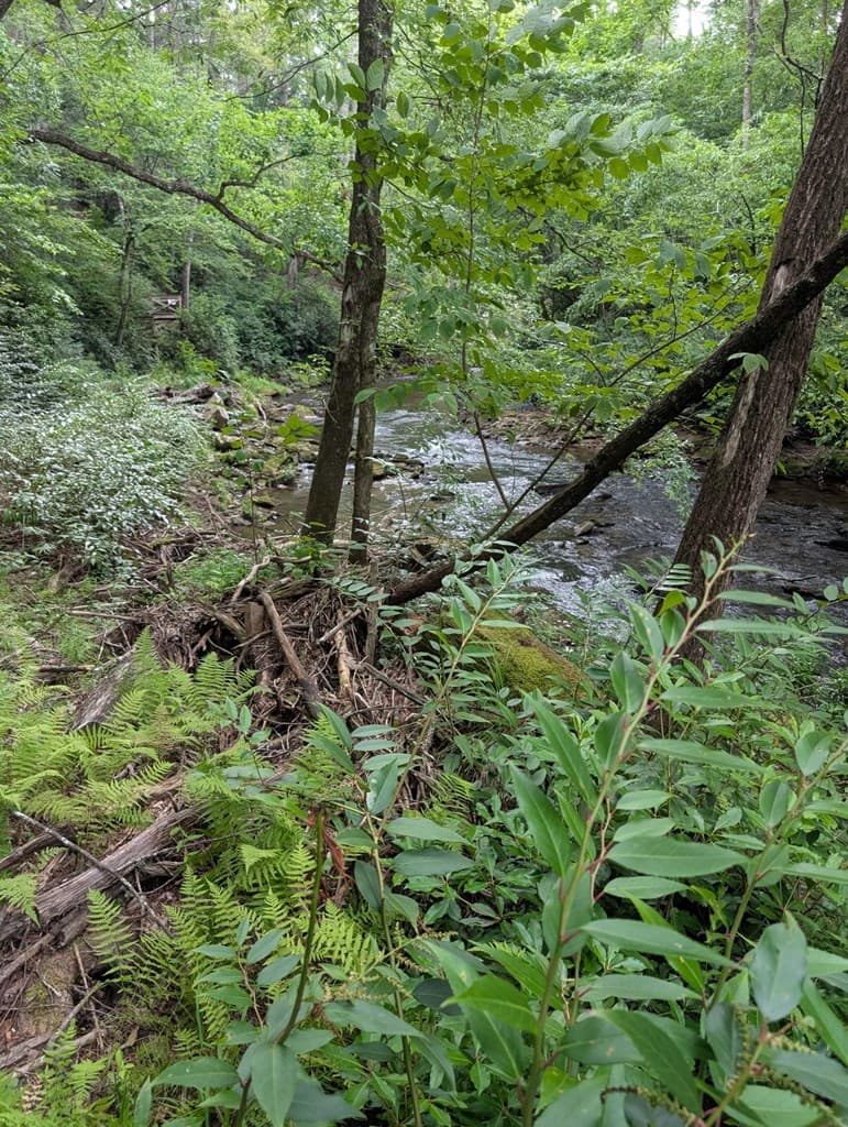 Lot 32 Byers Road, Blairsville GA 30512 - Photo