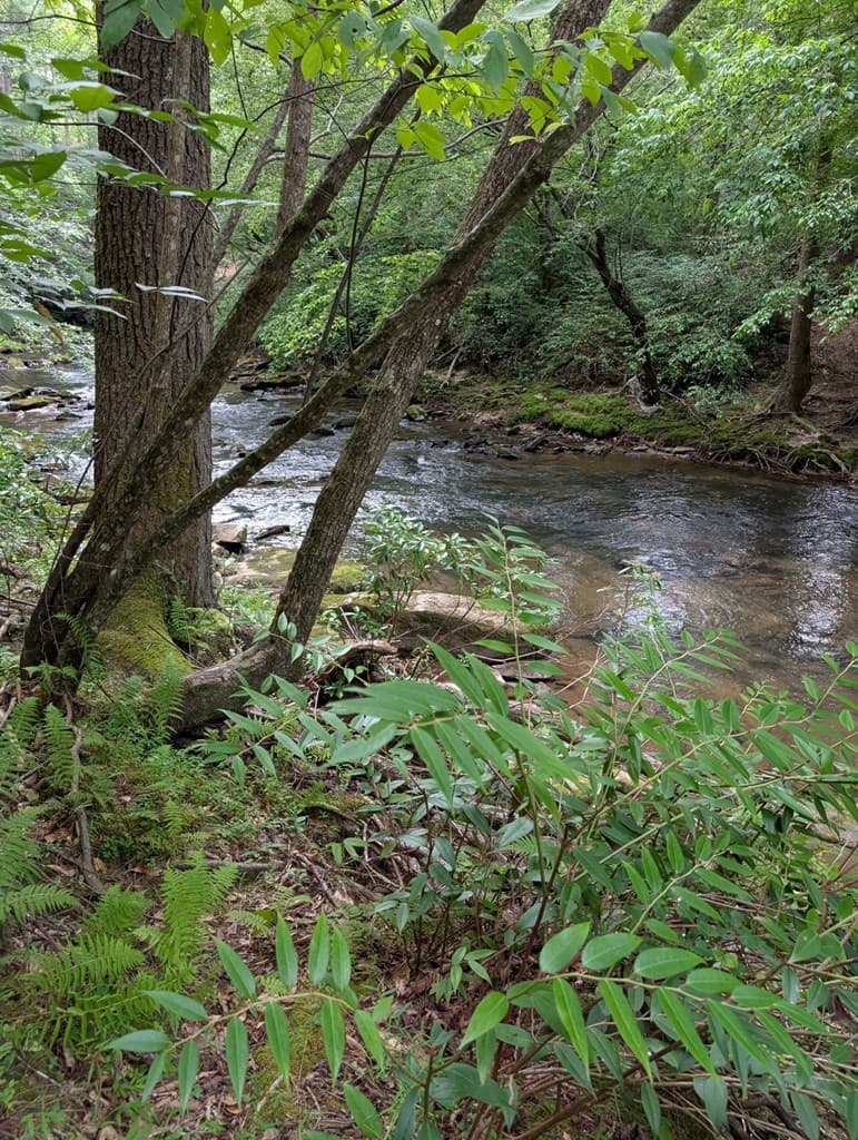 Lot 32 Byers Road, Blairsville GA 30512 - Photo
