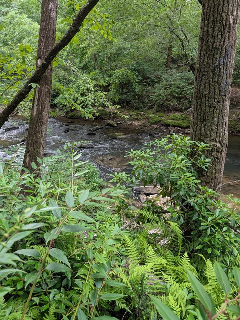 Lot 32 Byers Road, Blairsville GA 30512 - Photo
