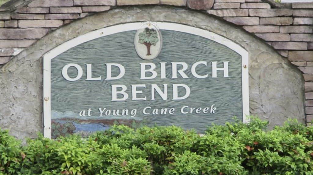 Lot 32 Byers Road, Blairsville GA 30512 - Photo