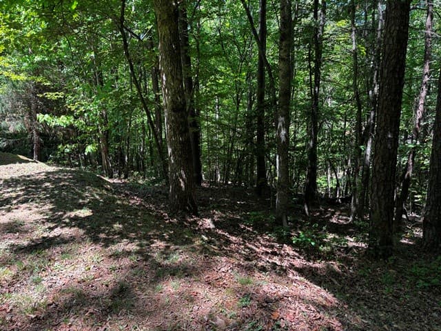 1190 Maple Grove Road, Morganton GA 30560 - Photo