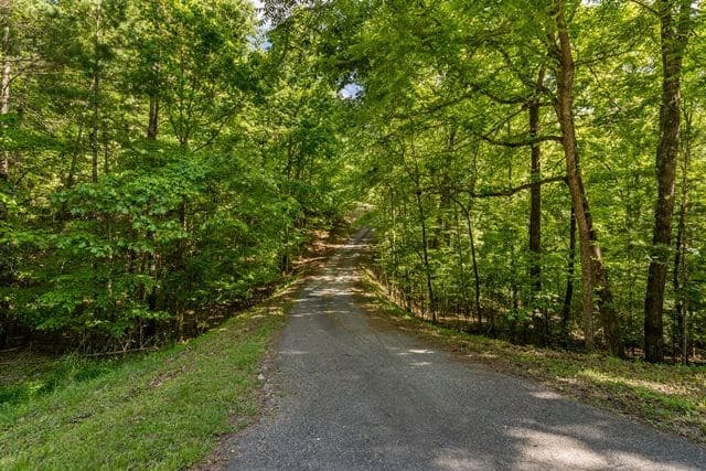 1190 Maple Grove Road, Morganton GA 30560 - Photo