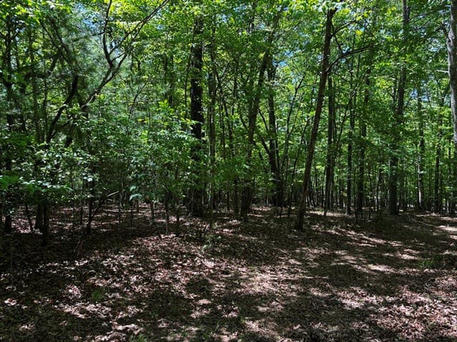 1190 Maple Grove Road, Morganton GA 30560 - Photo