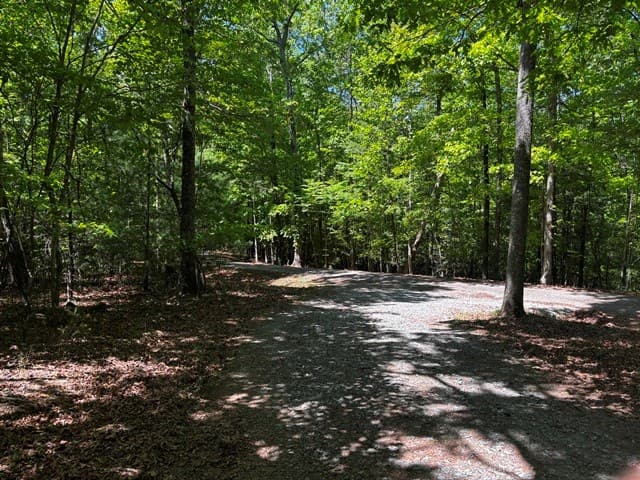 1190 Maple Grove Road, Morganton GA 30560 - Photo