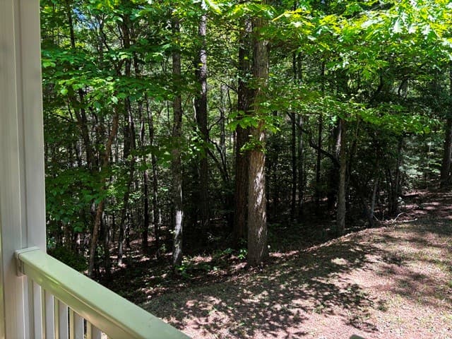 1190 Maple Grove Road, Morganton GA 30560 - Photo