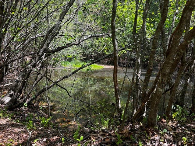 1190 Maple Grove Road, Morganton GA 30560 - Photo