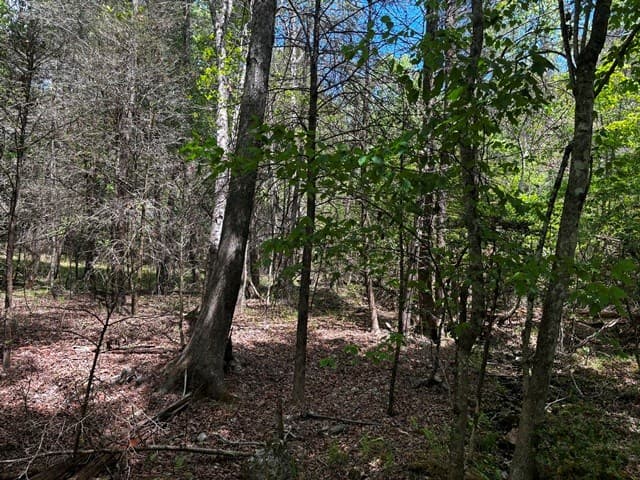 1190 Maple Grove Road, Morganton GA 30560 - Photo
