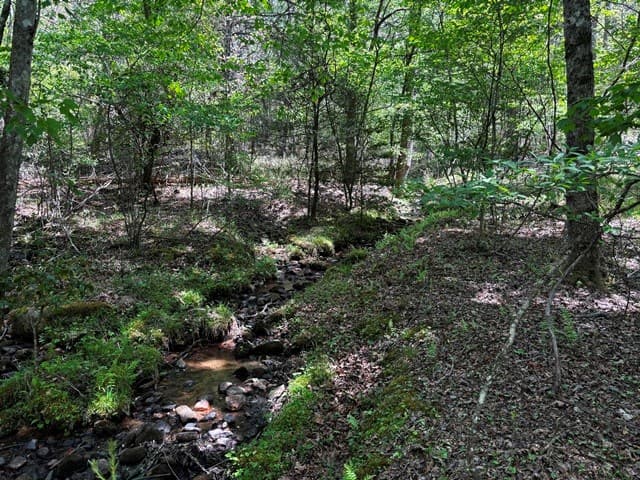 1190 Maple Grove Road, Morganton GA 30560 - Photo