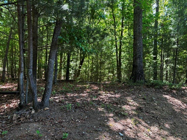 1190 Maple Grove Road, Morganton GA 30560 - Photo