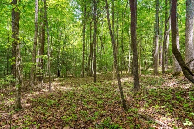 LOT 32 Oceola Drive, Ellijay GA 30540 - Photo