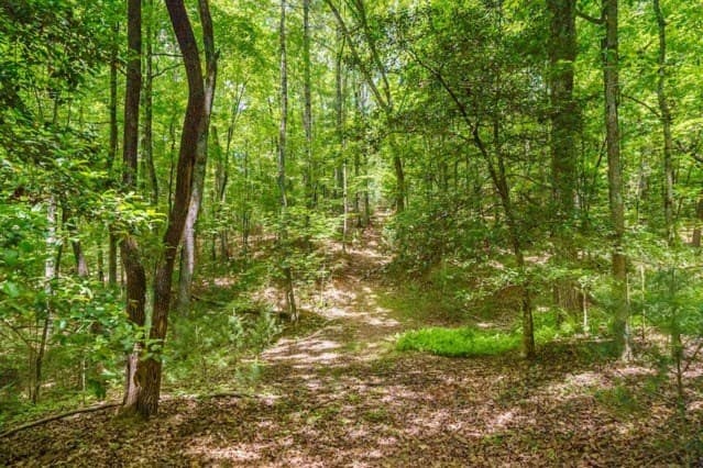 LOT 32 Oceola Drive, Ellijay GA 30540 - Photo