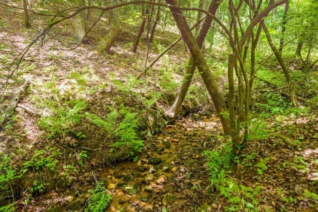 LOT 32 Oceola Drive, Ellijay GA 30540 - Photo