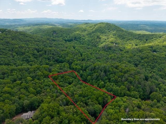 LOT 32 Oceola Drive, Ellijay GA 30540 - Primary photo