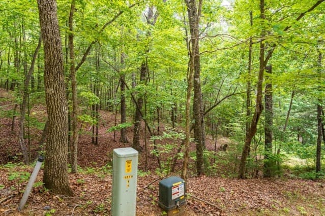 LOT 32 Oceola Drive, Ellijay GA 30540 - Photo