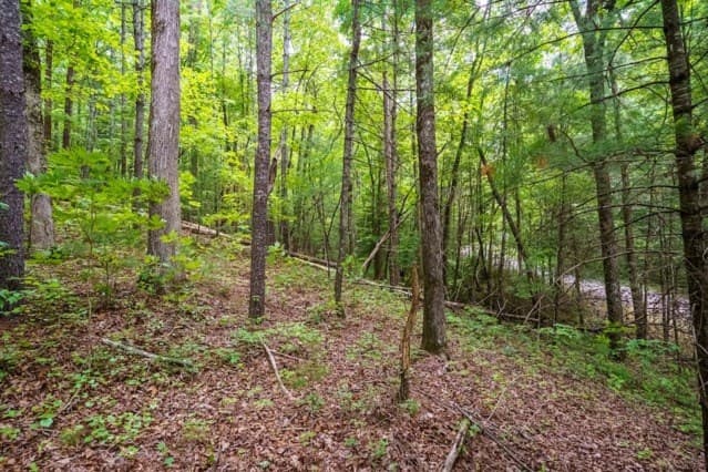 LOT 32 Oceola Drive, Ellijay GA 30540 - Photo