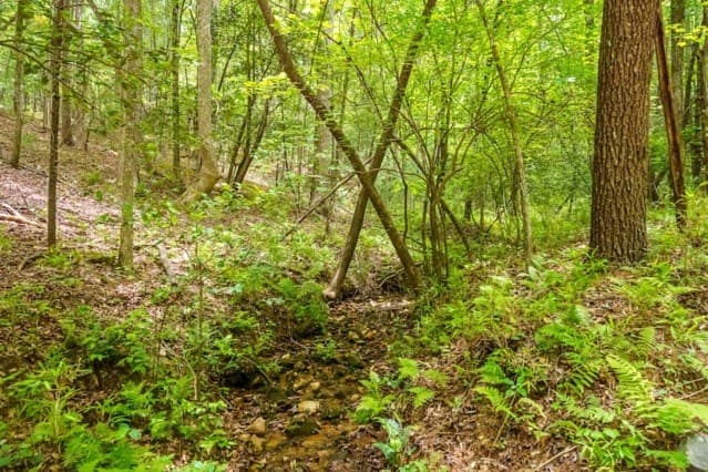 LOT 32 Oceola Drive, Ellijay GA 30540 - Photo
