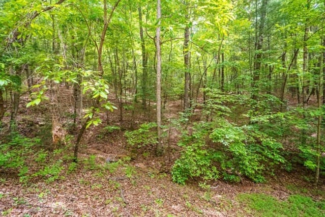 LOT 32 Oceola Drive, Ellijay GA 30540 - Photo