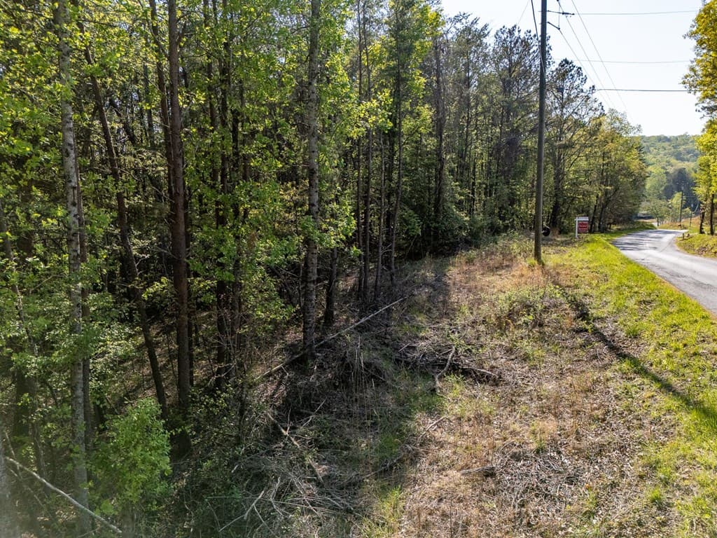 0 Talc Mine Road, Jasper GA 30143 - Photo